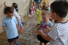 Active Learning (6)