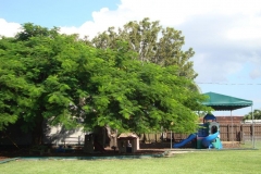 DSC00454
